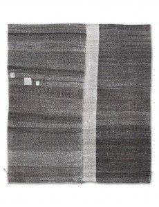 AM10560